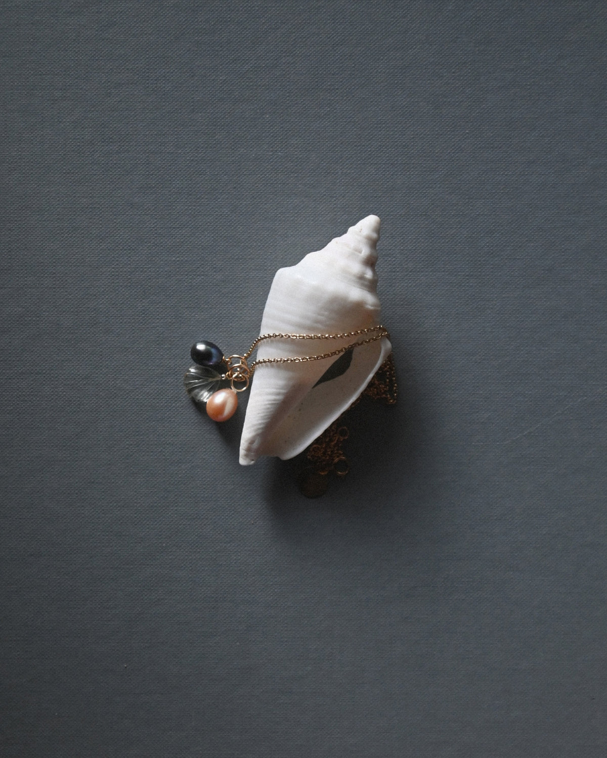 Rose Pearl no. 7