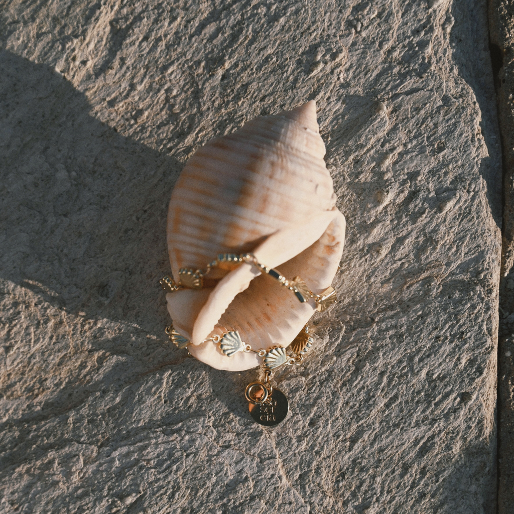 Shell with gold jewelry on a textured stone surface