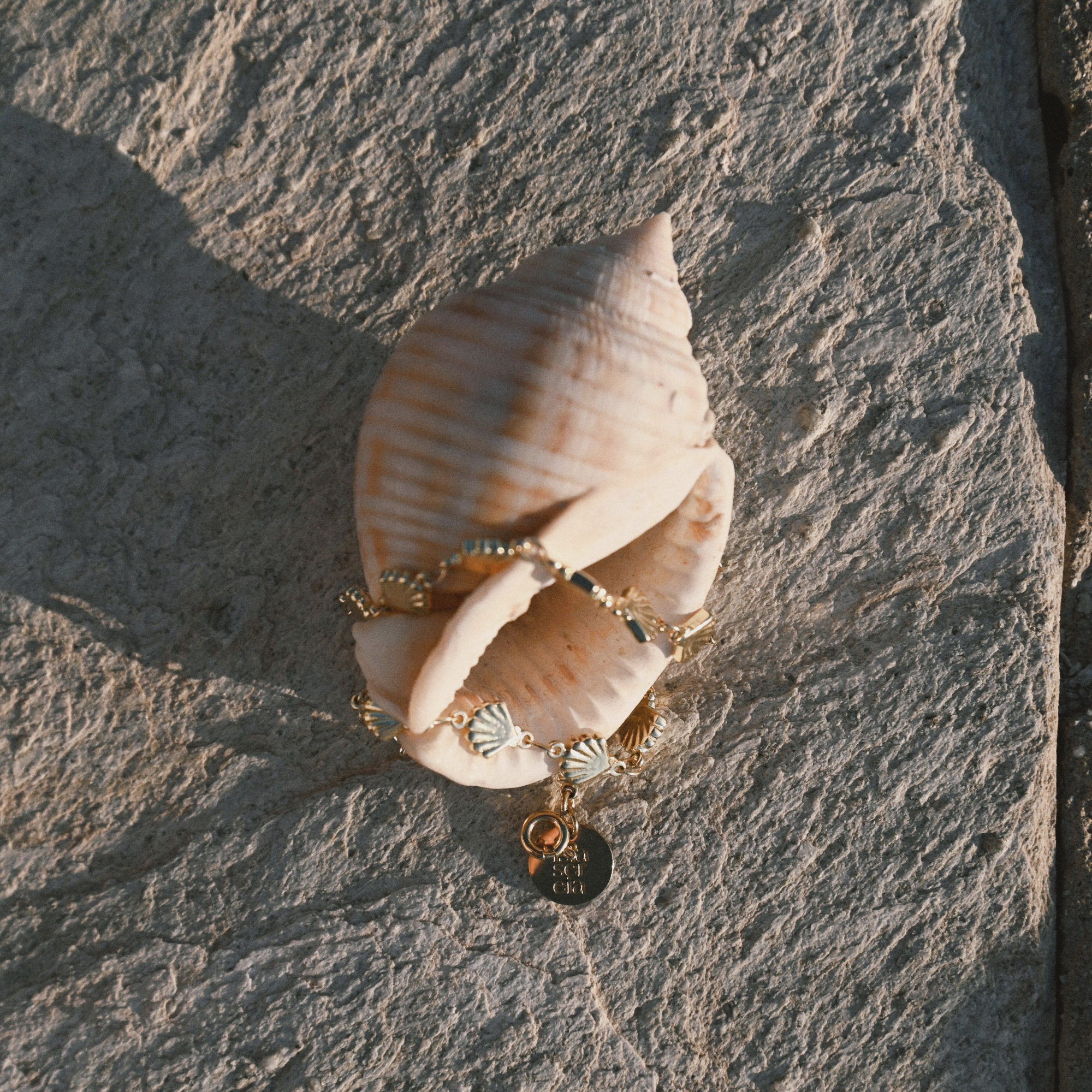 Shell with gold jewelry on a textured stone surface