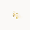 Salacia Charm