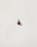 Tahitian Pearl no. 4